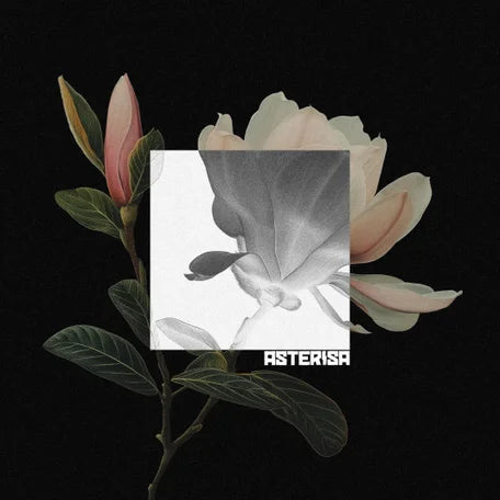 Asterisa - Magnolia EP (CD)