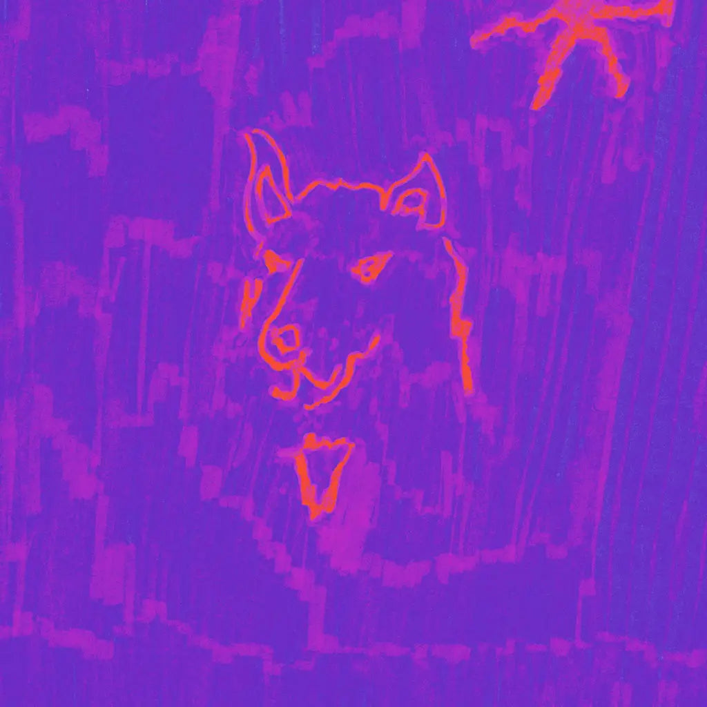 Dehd - Poetry (Neon Orange Vinyl)