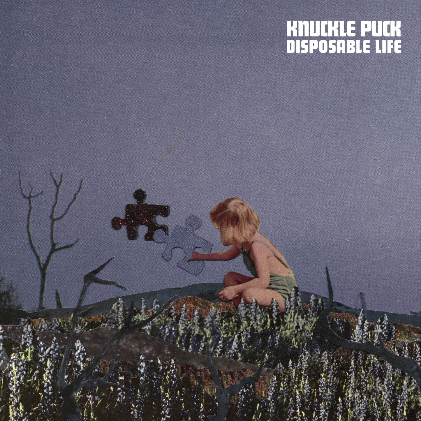 knuckle Puck - Disposable Life