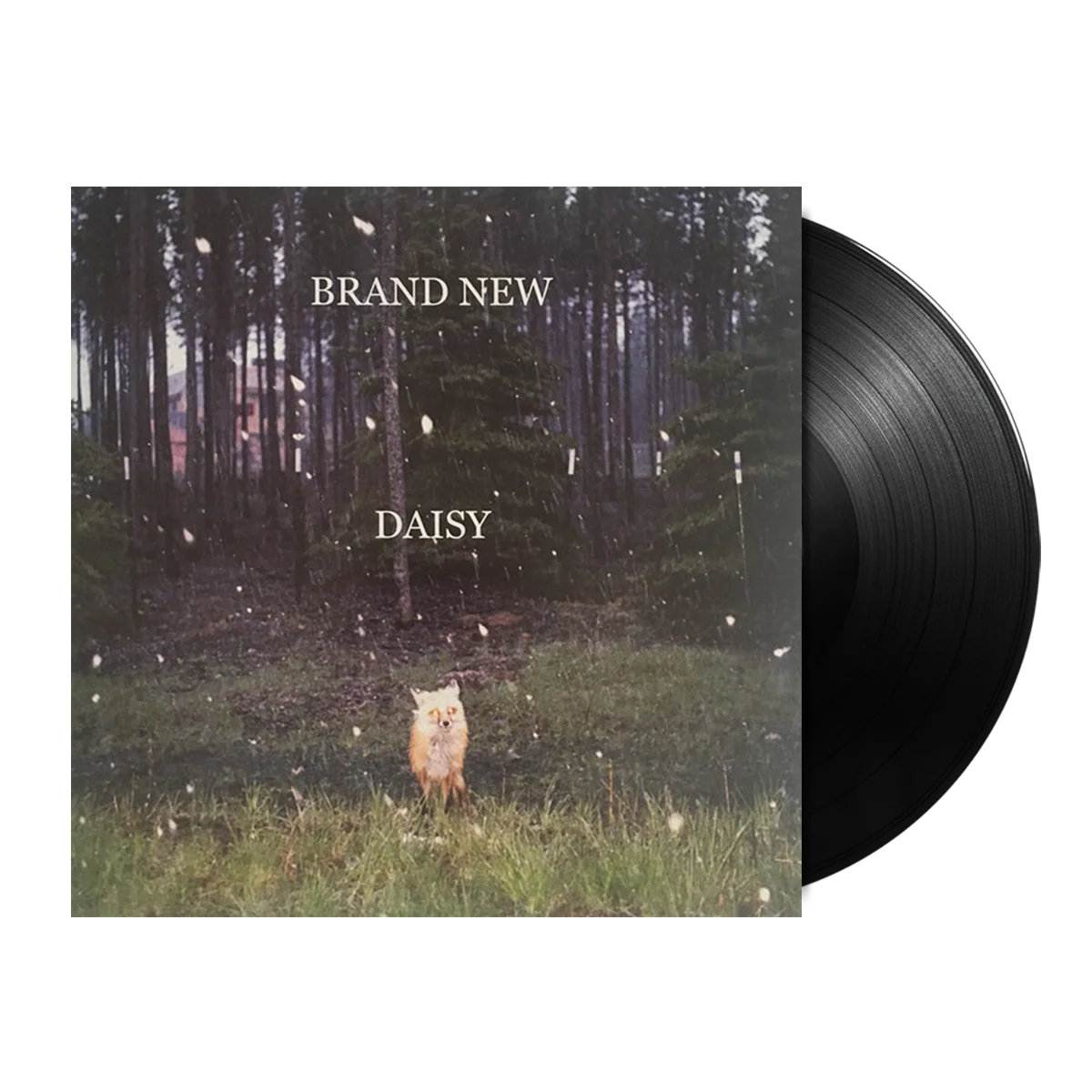 Brand New - Daisy