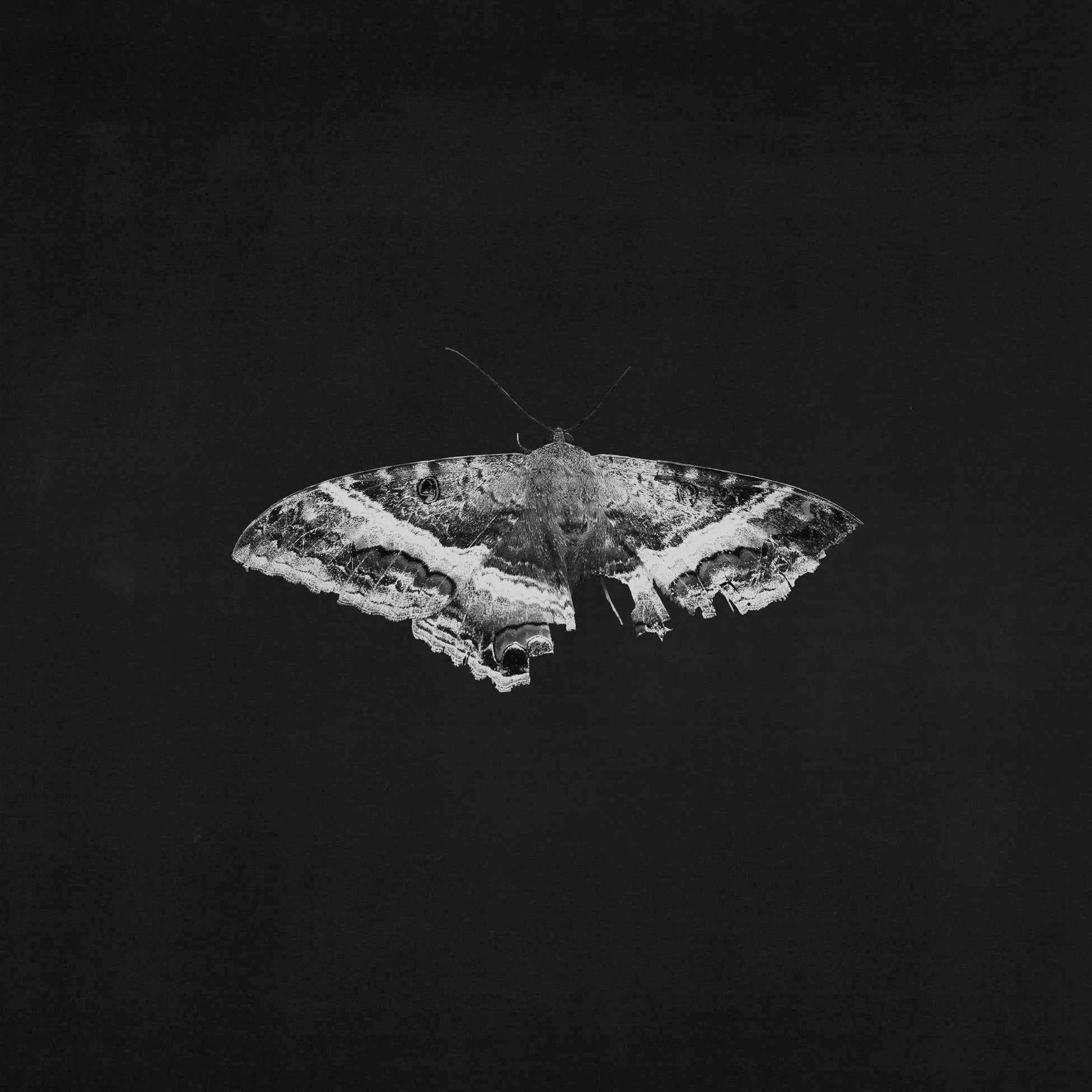 Kendrick Lamar - To Pimp A Butterfly (10 Year Anniversary Edition