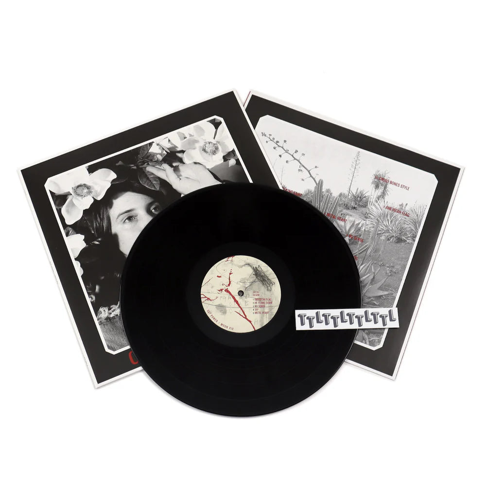 Cat Power - Moon Pix