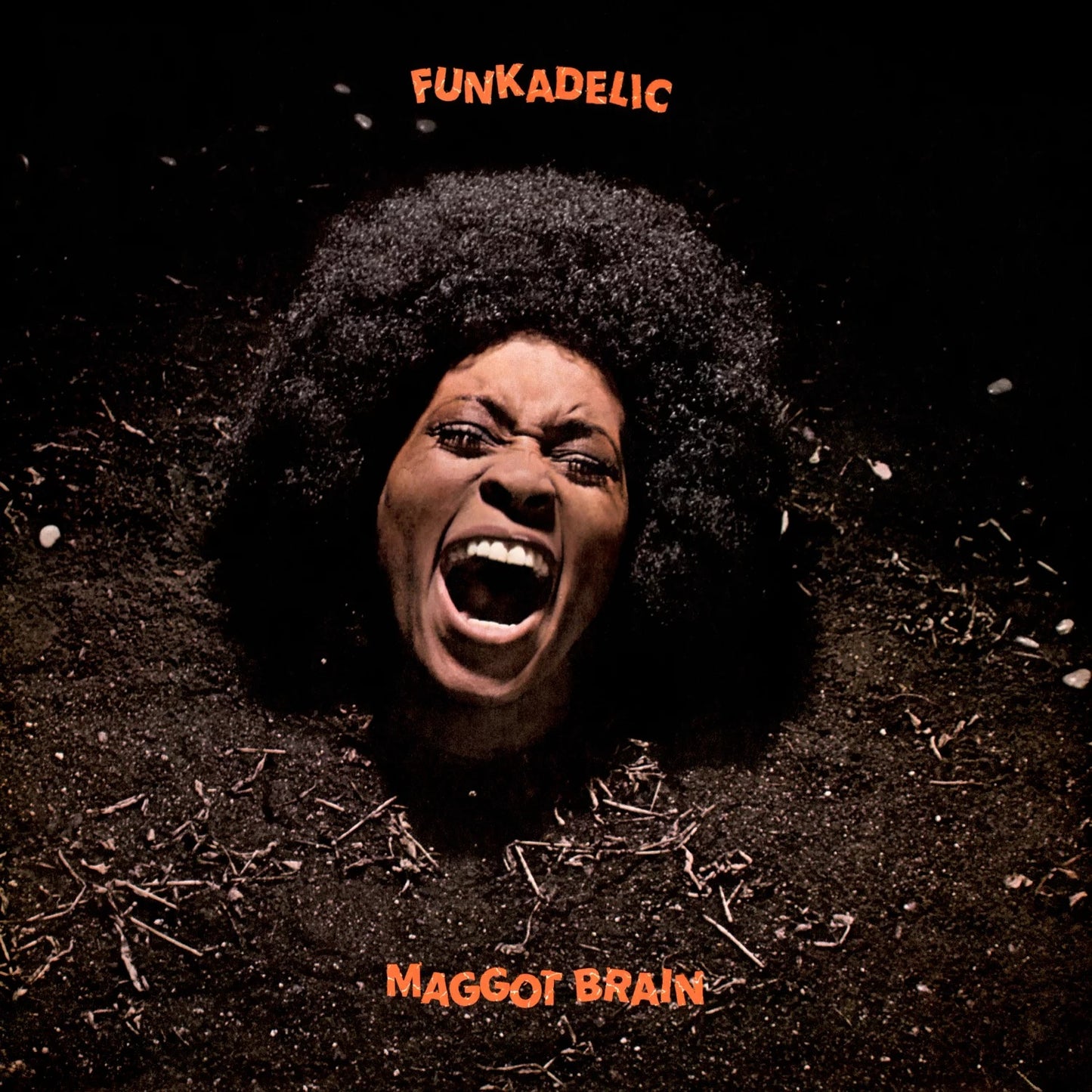 Funkadelic - Maggot Brain