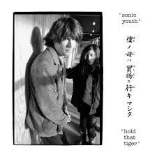 Sonic Youth - Hold That Tiger (Colored Vinyl)