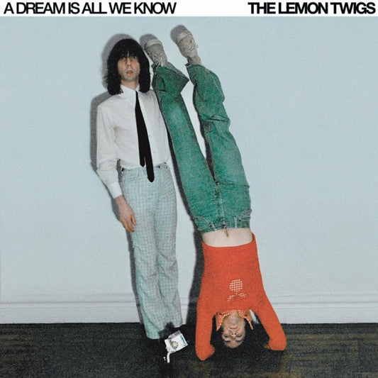 The Lemon Twigs - A Dream Is All We Know (Ice Cream Vinyl)