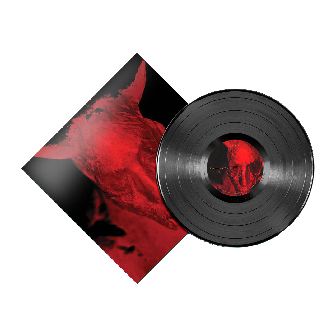 Diamanda Galas - Broken Gargoyles