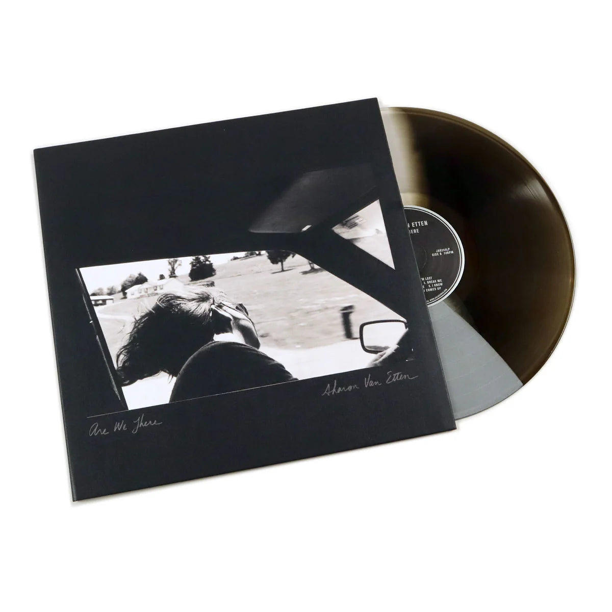 Sharon Van Etten - Are We There (10th Anniversary Black, Grey and Silver Tri-Color Vinyl)