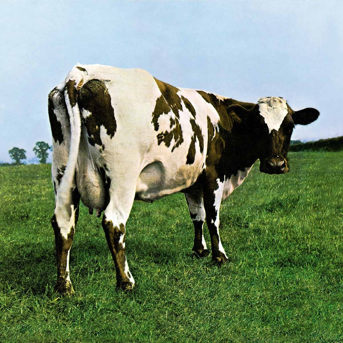 Pink Floyd - Atom Heart Mother