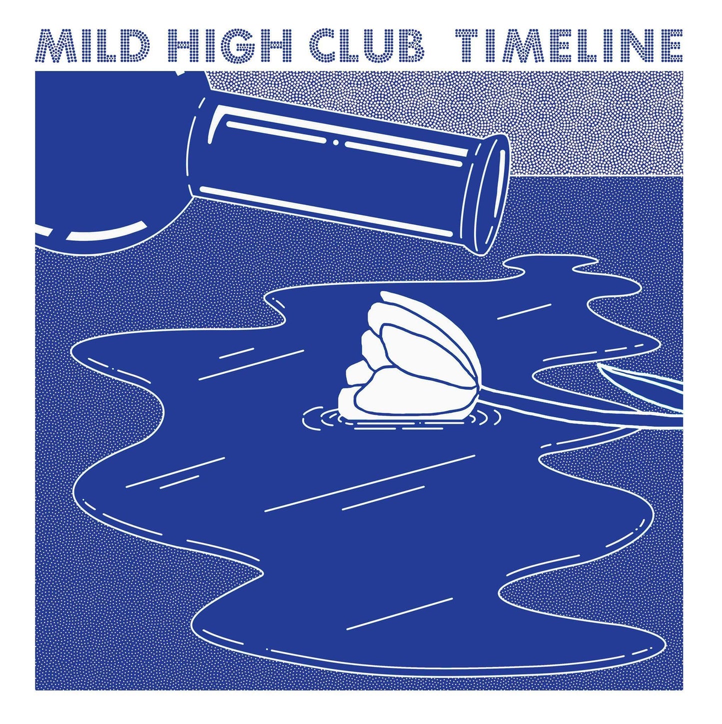 Mild High Club - Timeline