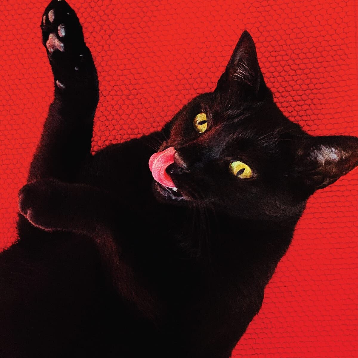 Ryan Adams - Big Colors (Red Colored Vinyl)