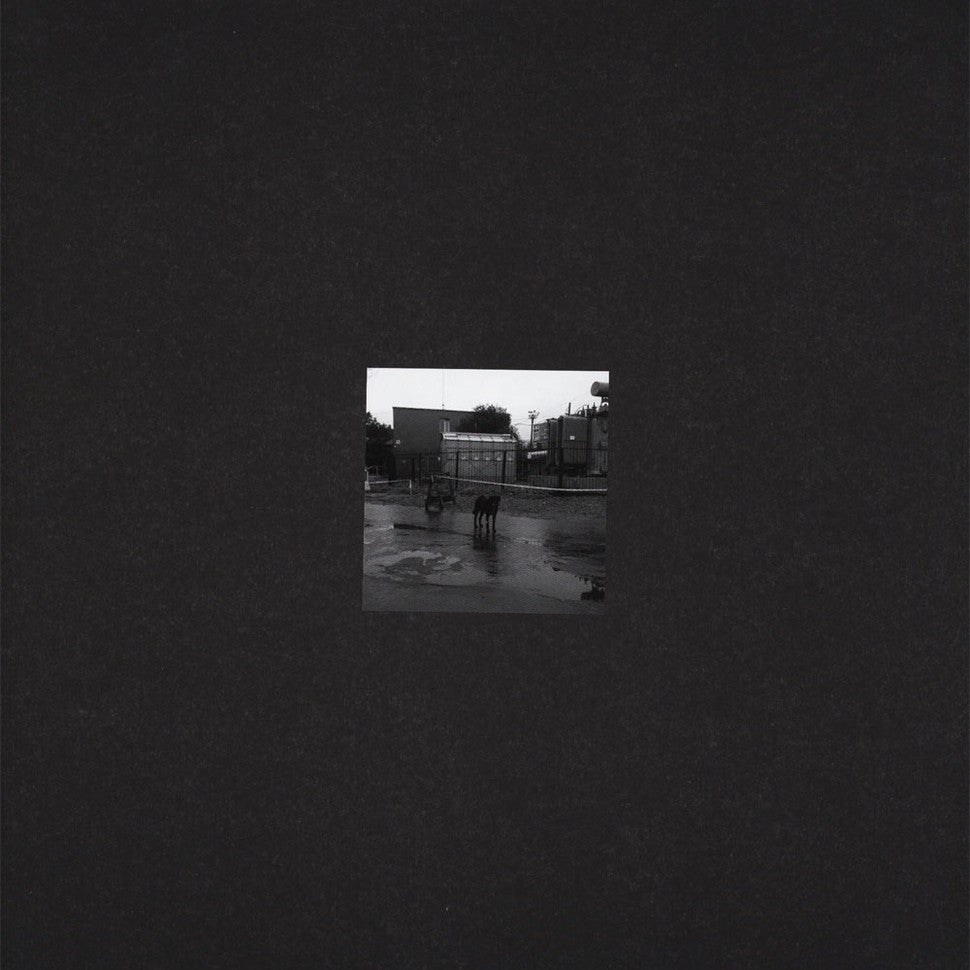 Nivhek - After Its Own Death / Walking In A Spiral Towards The House