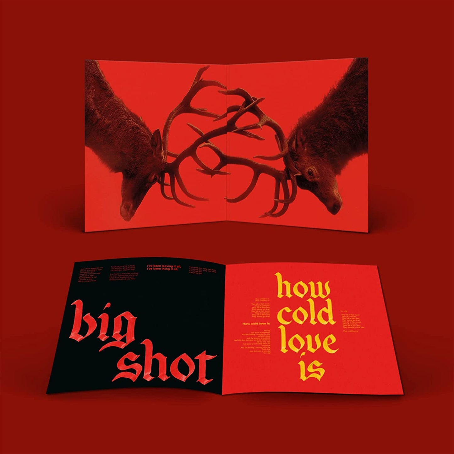 Fontaines D.C. - Skinty Fia (Deluxe Edition, limited)