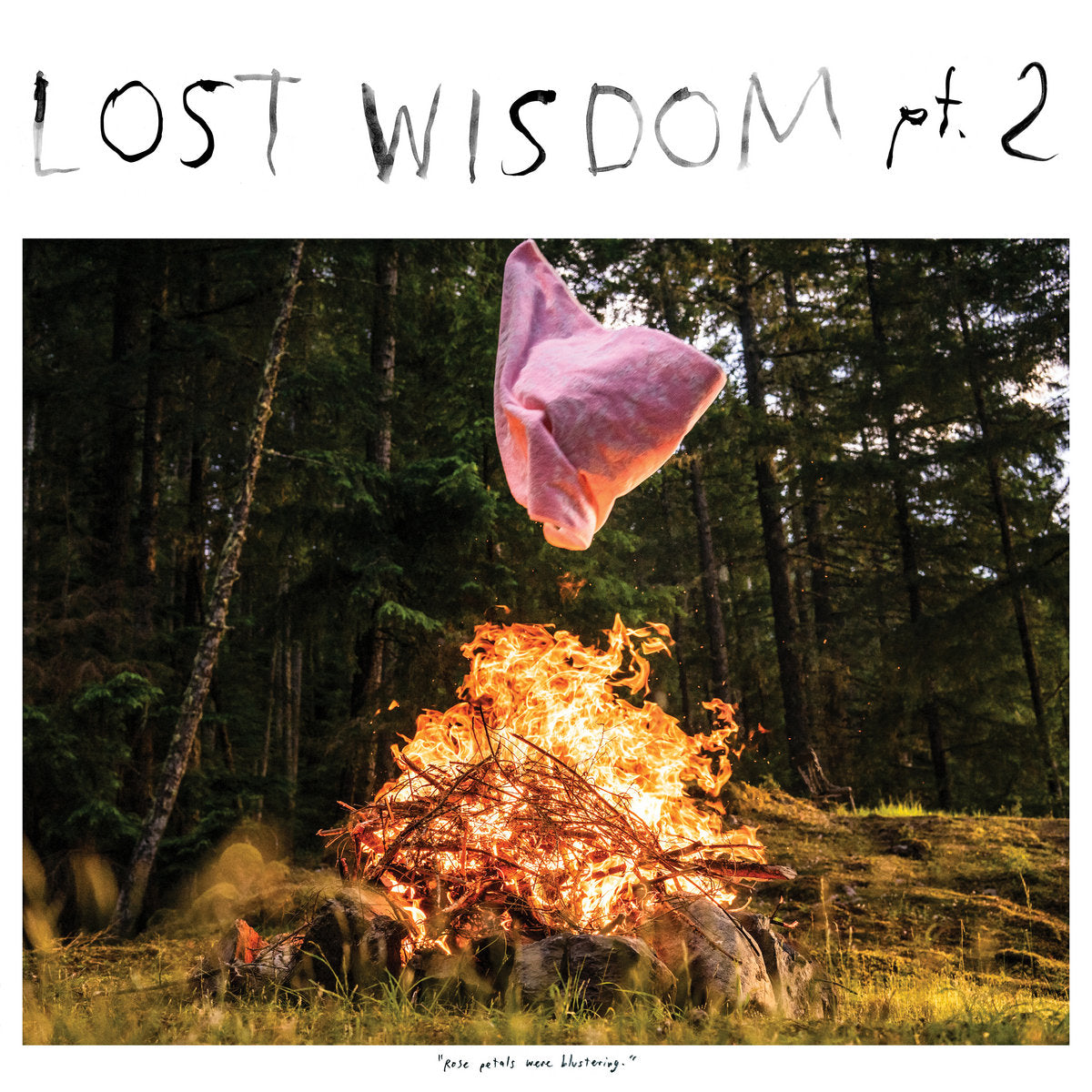 Mount Eerie - Lost Wisdom Pt. 2