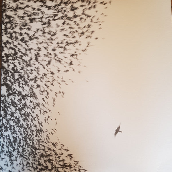 Wilco – Sky Blue Sky