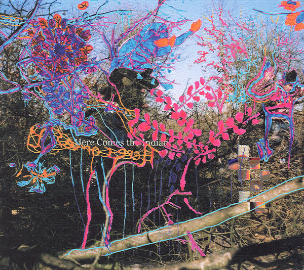 Animal Collective / Here Comes The Indian