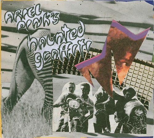 Ariel Pink's Haunted Graffiti – Odditties Sodomies Vol. 1