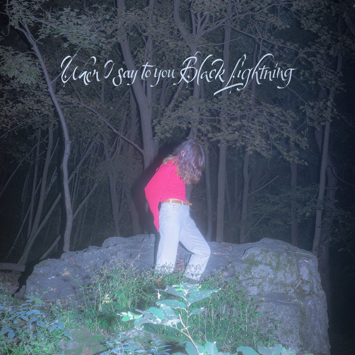 Common Holly / When I Say To You Black Lightning