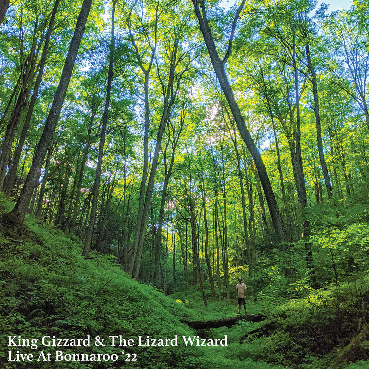 King Gizzard & The Lizard Wizard - Live At Bonnaroo '22 (Orange Buzzsaw Shaped Vinyl)