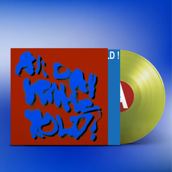 Porches - All Day Gentle Hold ! (Indie-Retail Exclusive Yellow Vinyl)
