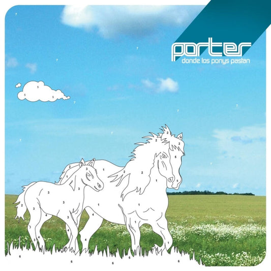 Porter - Donde Los Ponys Pastan (RSD)
