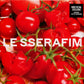 Le Sserafim - 1st Single Album "Spaghetti" (Tomato Red Vinyl)