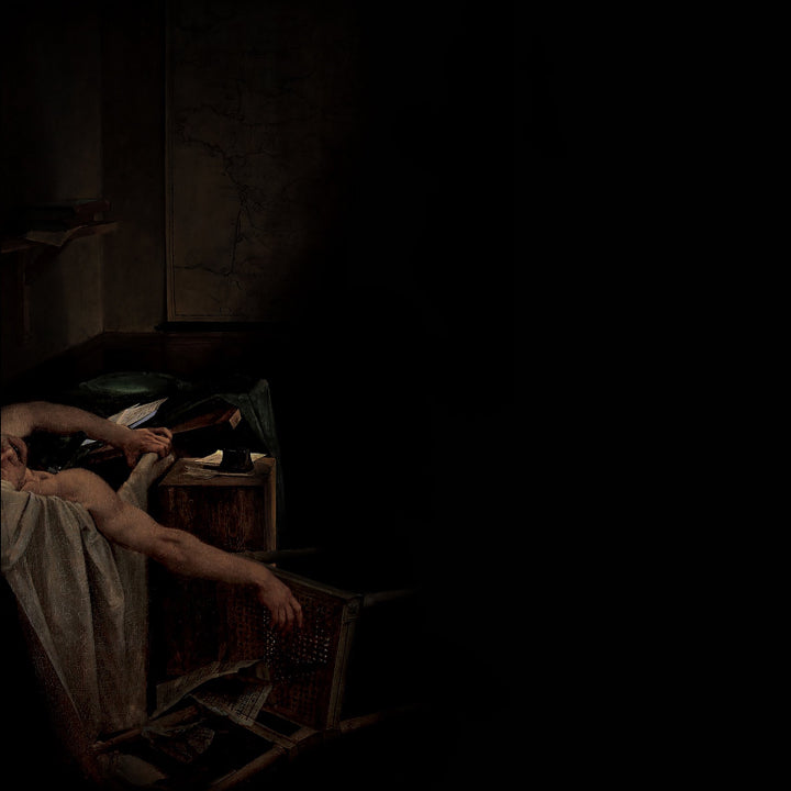 Have a Nice Life  - Voids - ((Color in Color Vinyl))