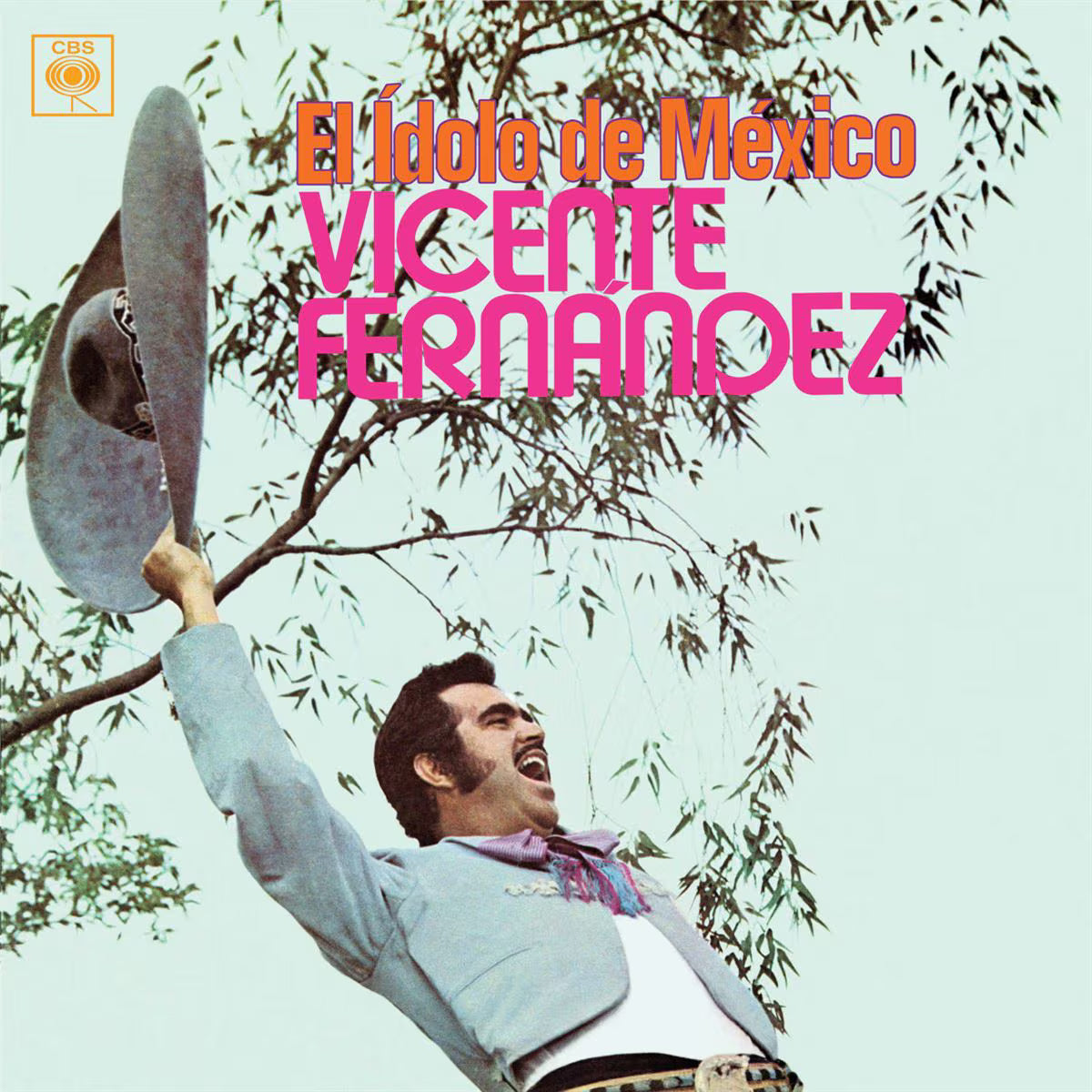 Vicente Fernandez - El Idolo De Mexico