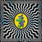 King Gizzard And The Lizard Wizard - Field Of Vision '25