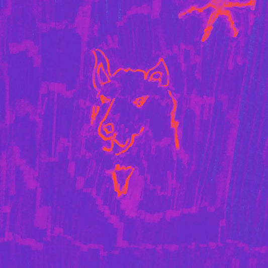 Dehd - Poetry (Neon Orange Vinyl)
