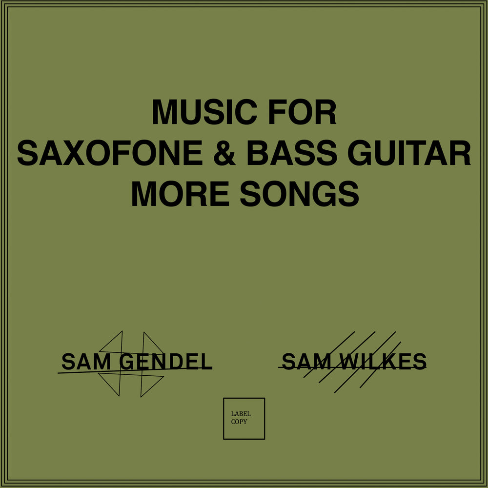 Sam Gendel and Sam Wilkes - Music for Saxofone and Bass Guitar