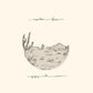 Gregory Alan Isakov - Appaloosa Bones (Brown Vinyl)