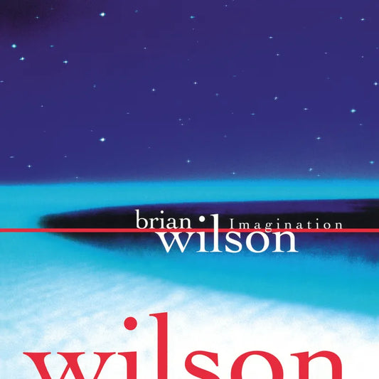 Brian Wilson - Imagination (RSD 2026)