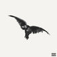Conan Gray - Kid Krow: Decomposed (5th Anniversary, White & Black Splatter Vinyl)
