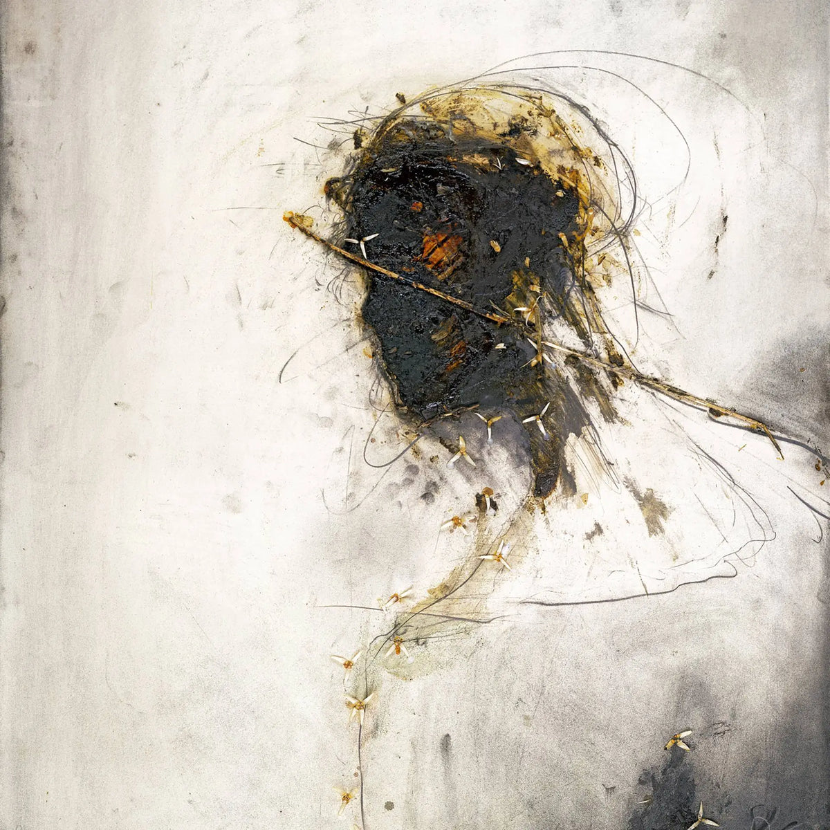 Peter Gabriel - Passion (Half-Speed Master Vinyl)
