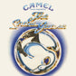 Camel - Snow Goose