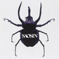 Saosin - Saosin