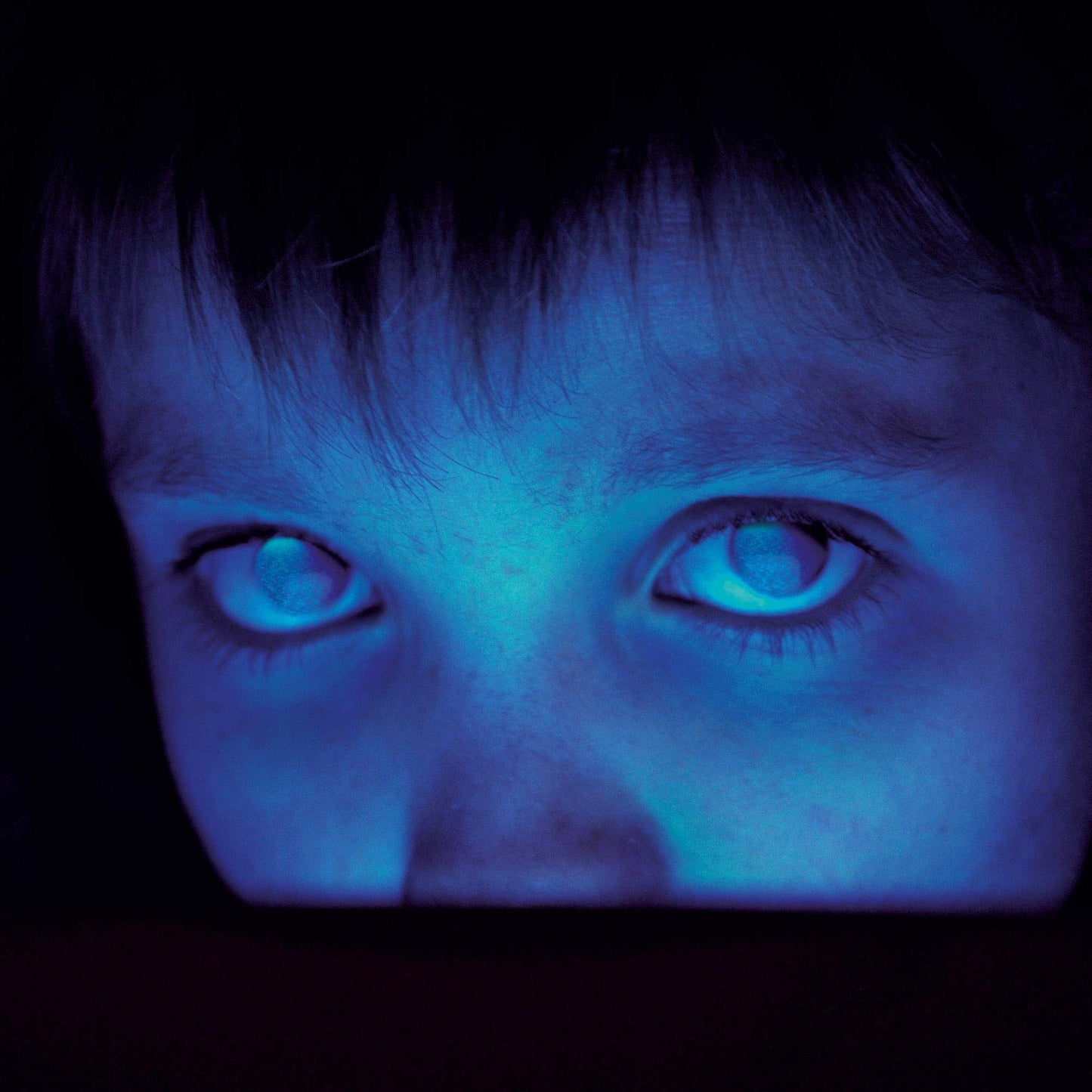 Porcupine Tree - Fear Of A Blank Planet (Clear Vinyl)