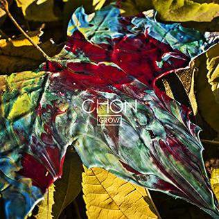Chon - Grow [cyan / black / neon yellow tri-color striped]