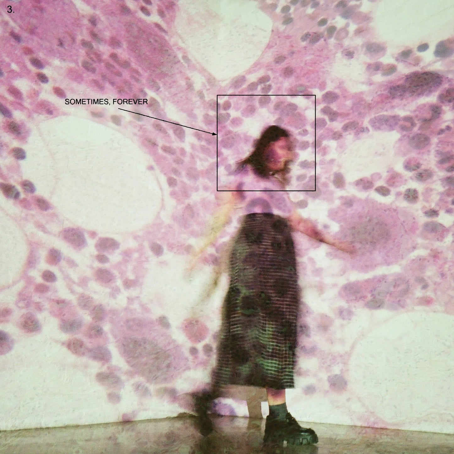 Soccer Mommy - Sometimes Forever