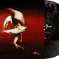 Maruja - Pain To Power (Magenta with Black Liquid Vinyl)