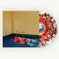 Barry Can't Swim - Loner (Ribbon Splatter in Crystal Clear, Red & Black Vinyl)