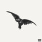 Conan Gray - Kid Crow Decomposed (5 Year Anniversary Black & White Splatter)