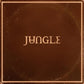 Jungle - Sunshine (Indie Exclusive, Peach Colored Vinyl)