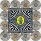 King Gizzard And The Lizard Wizard - Field Of Vision '25