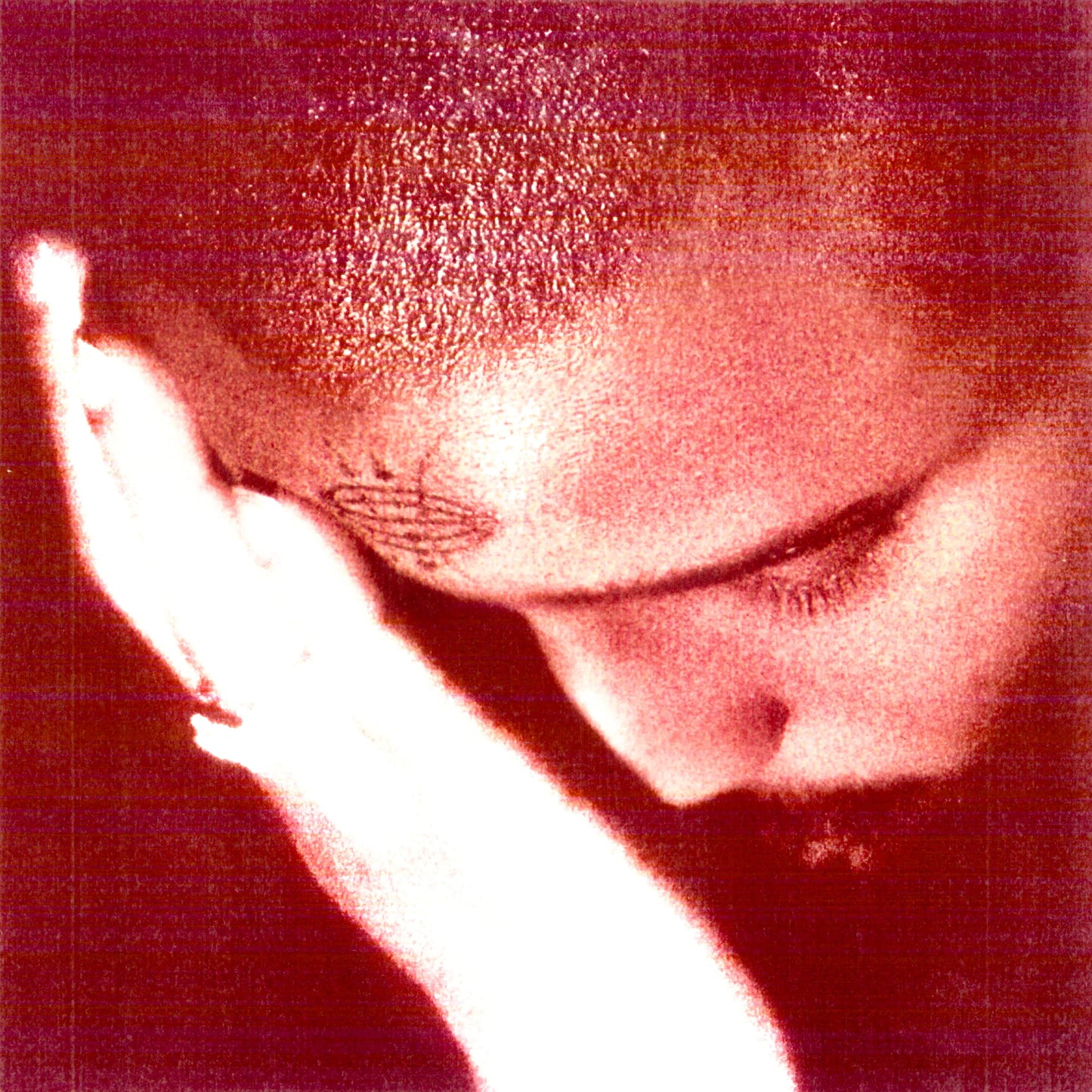 The Passionate Ones - Nourished By Time