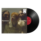 Paramore - This is Why