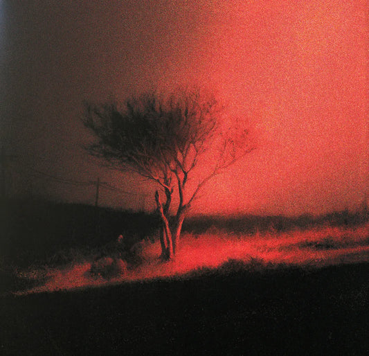 Joji - Piss In The Wind