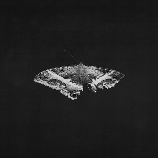Kendrick Lamar - To Pimp A Butterfly (10 Year Anniversary Edition)