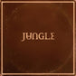 Jungle - Sunshine (Sunburst Vinyl)