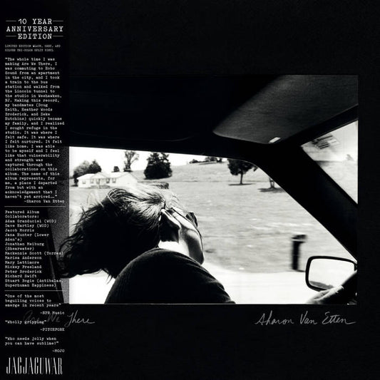 Sharon Van Etten - Are We There (10th Anniversary Black, Grey and Silver Tri-Color Vinyl)